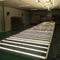 660nm 1000 Watt LED Grow Lights
